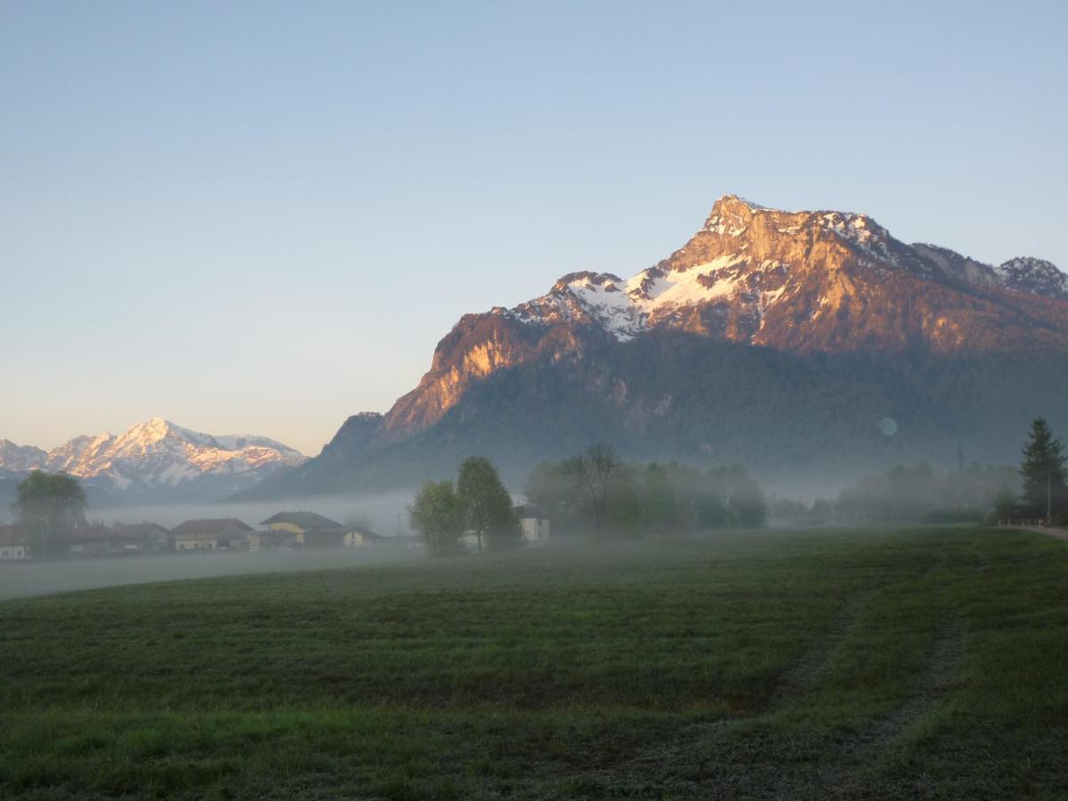 Top-2 Zimmer Ferienwohnung In Salzburg Mit Terrasse Ngoại thất bức ảnh